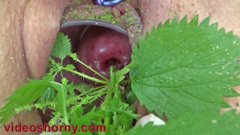 Cervix torture with stinging nettles inserted into womb